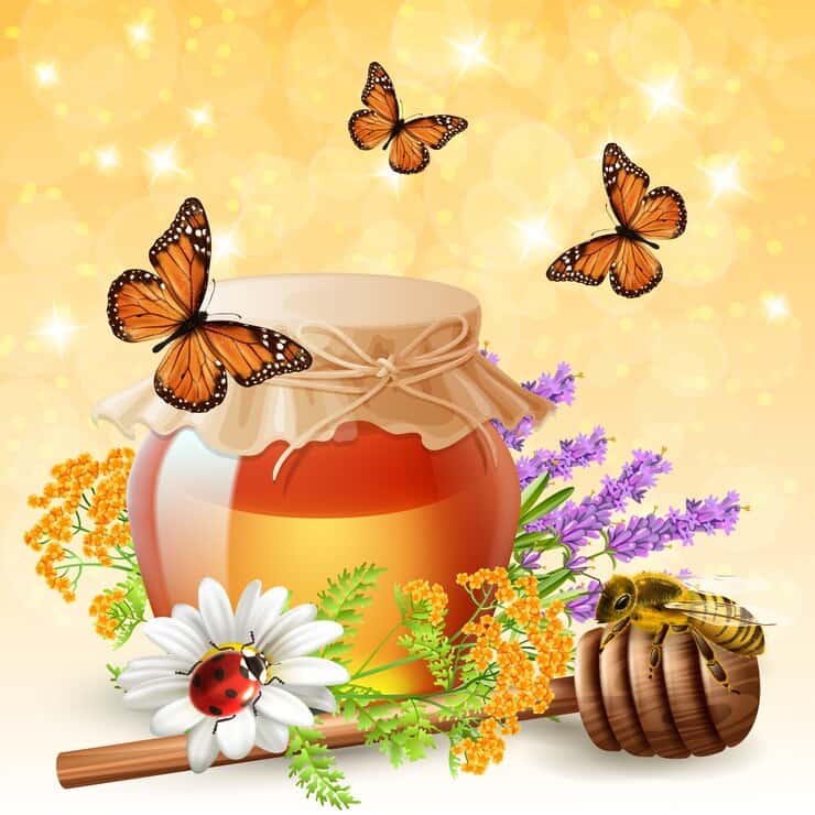 قیمت خرید عسل چهل گیاه کوهستانی و فروش ویژه